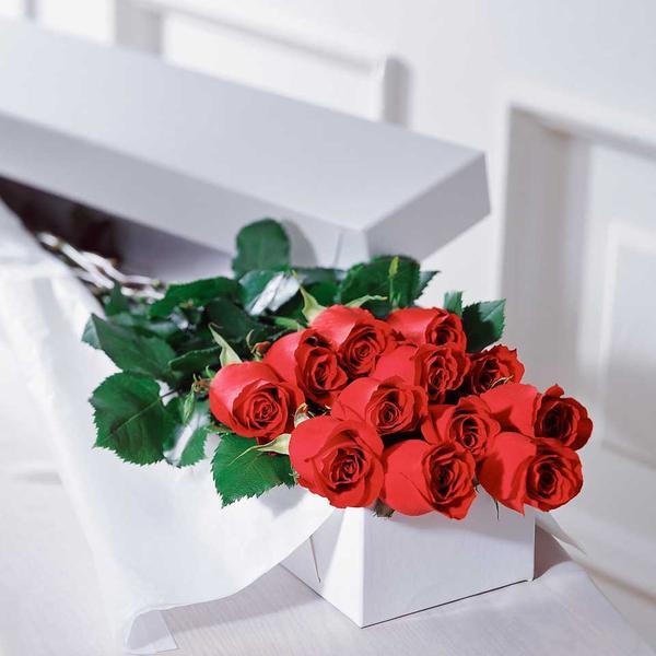 red roses in long box