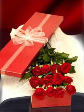 long stemmed red roses; roses in a presentation box